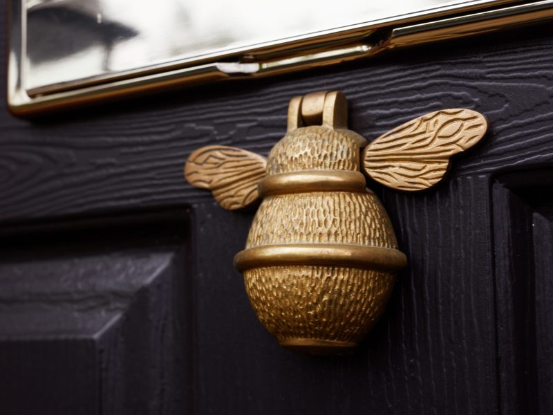 Black endurance door bee